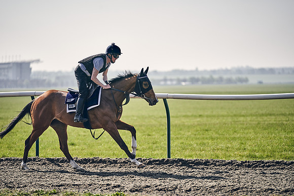 GEORGE-BOUGHEY-RACING-DJ-3370