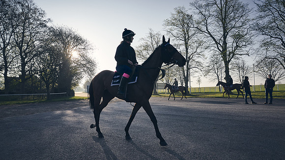 GEORGE-BOUGHEY-RACING-DJ-0796