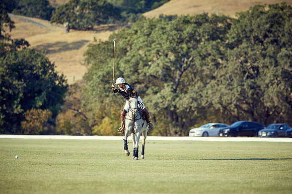 Oyster Cup Polo tournament