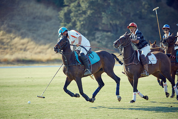 Oyster Cup Polo tournament