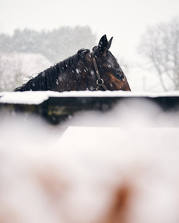 NATIONAL-STUD-27th-FEB-DJ-_DJ94337.ARW-5491
