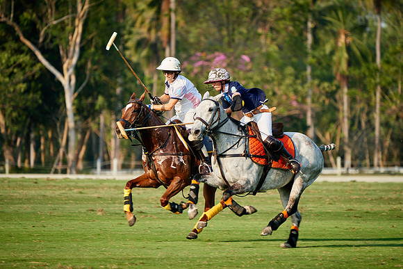 THAI-PINK-POLO-2019_DJ_5104