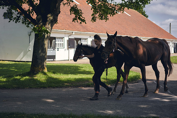 The-National-Stud-Dominic-James_DOM9493