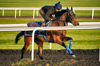 26th Mar 22 Warren Hill 004