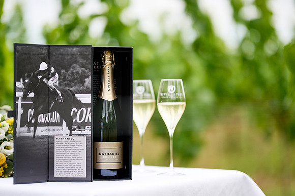 Newsells product shots7402354