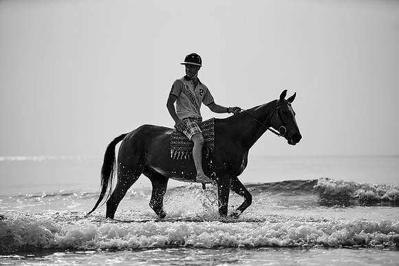 _DSC1559.ARW