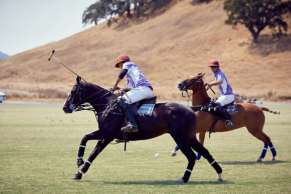 Oyster Cup Polo tournament