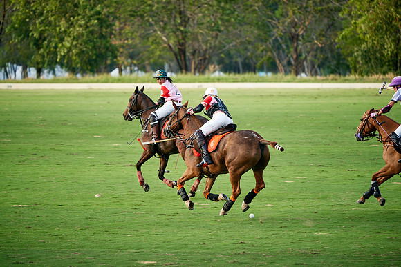 THAI-PINK-POLO-2019_DJ_3273