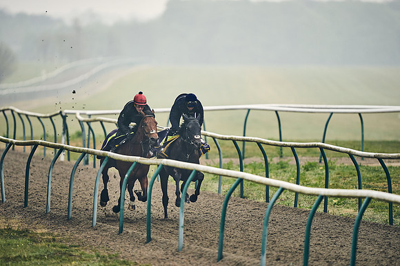 NEWMARKET-GALLOPS-24nd-APRIL-DJ-0350
