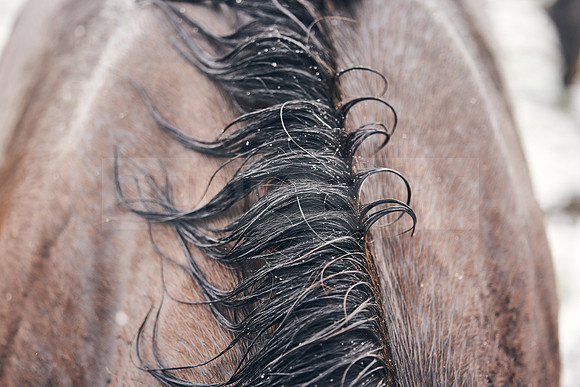 NATIONAL-STUD-27th-FEB-DJ-_DJ94969.ARW-6123
