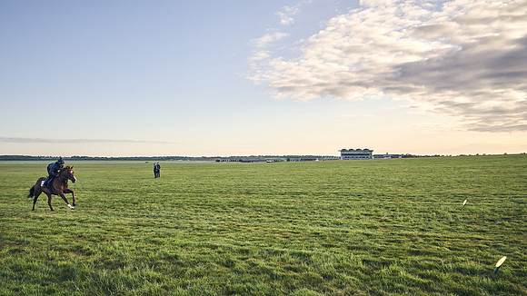 SUMMER GALLOPS-2nd-May-DJ-0840