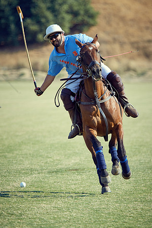 Oyster Cup Polo tournament