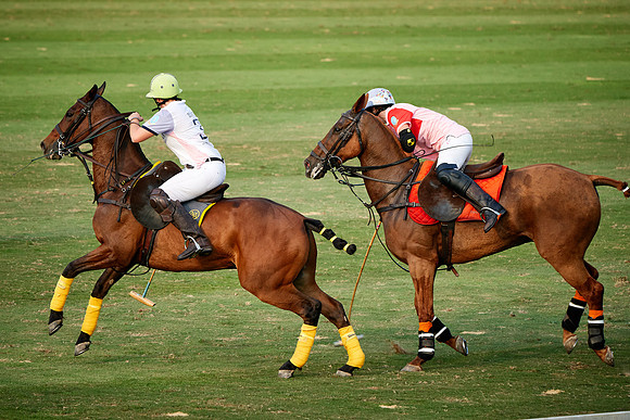THAI-PINK-POLO-2019_DJ_3264