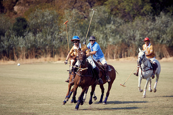 Oyster Cup Polo tournament