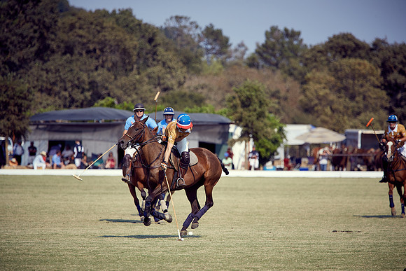 Oyster Cup Polo tournament