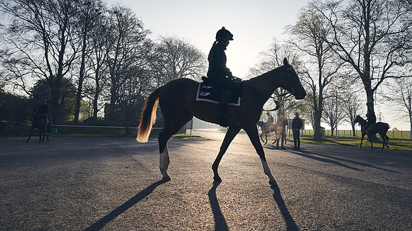 GEORGE-BOUGHEY-RACING-DJ-0741