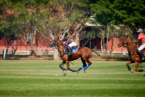 THAI-PINK-POLO-2020-Dominic-James_DJ98786.ARW2912