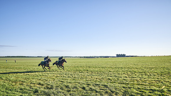 SUMMER GALLOPS-2nd-May-DJ-1339
