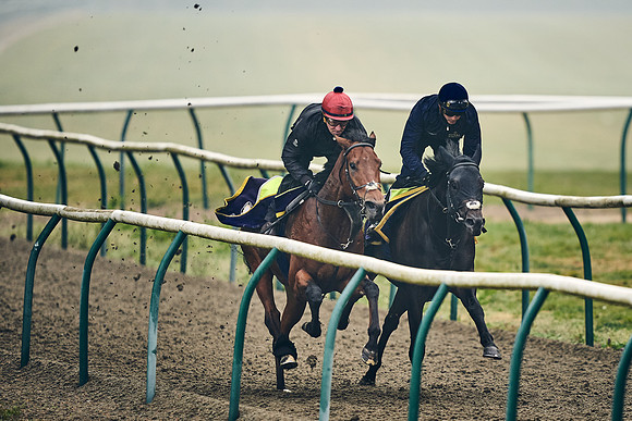 NEWMARKET-GALLOPS-24nd-APRIL-DJ-0357