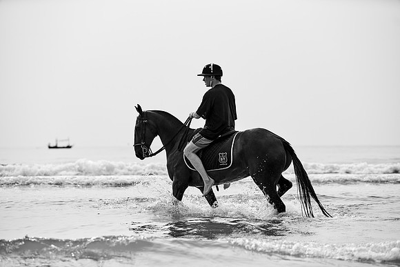 _DSC2866.ARW
