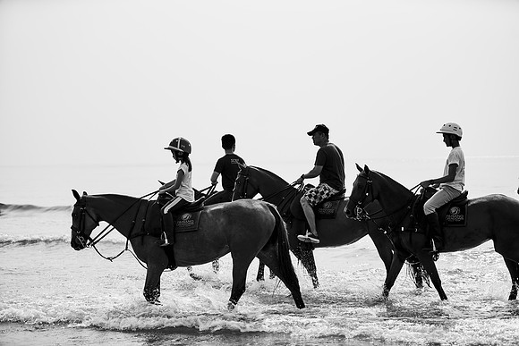 _DSC1801.ARW