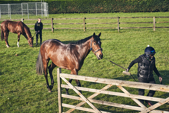 GEORGE-BOUGHEY-RACING-DJ-1330