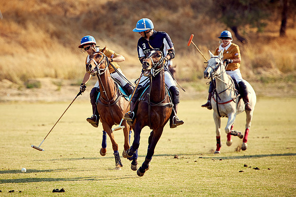 Oyster Cup Polo tournament