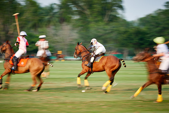 THAI-PINK-POLO-2019_DJ_3418