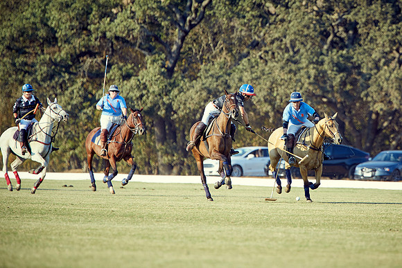 Oyster Cup Polo tournament