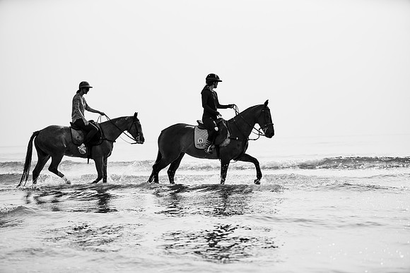 _DSC1621.ARW