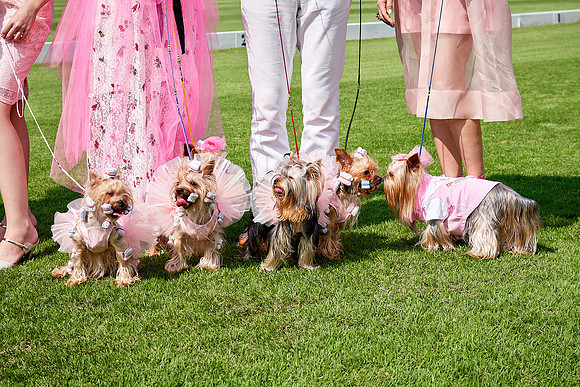 THAI-PINK-POLO-2019-FINALS_DOM1781