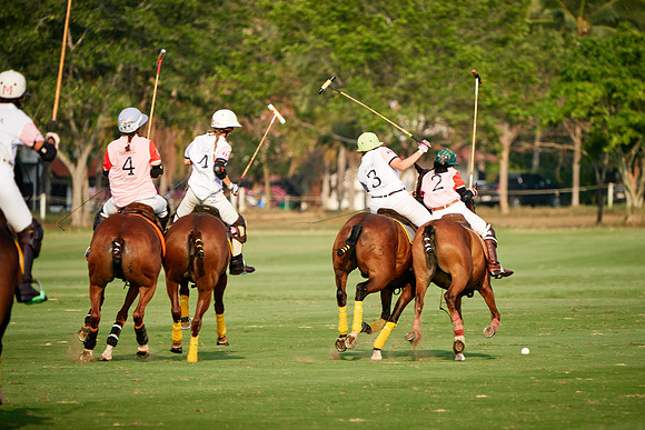 THAI-PINK-POLO-2019_DJ_2979