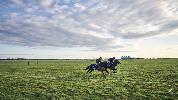 SUMMER GALLOPS-2nd-May-DJ-0491