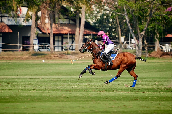 THAI-PINK-POLO-2020-Dominic-James_DJ98607.ARW2733
