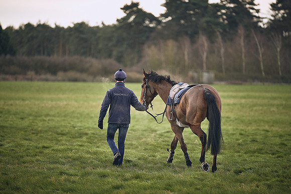 LINKS-WH-04-MAR-DJ-_DJ70503.ARW-1834