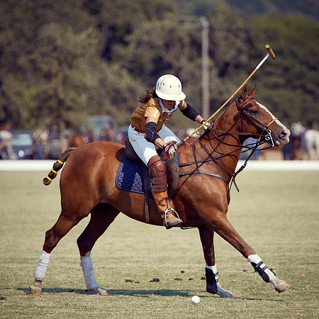 Oyster Cup Polo tournament