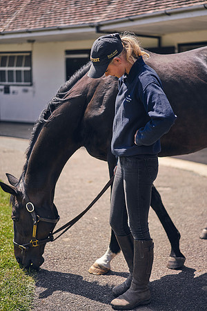 The-National-Stud-Dominic-James_DOM0423