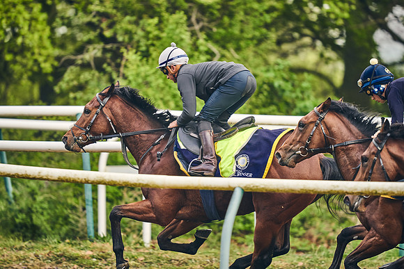 NEWMARKET-GALLOPS-24nd-APRIL-DJ-0462