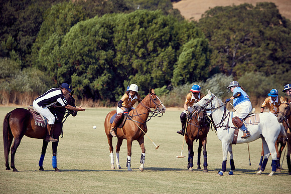 Oyster Cup Polo tournament