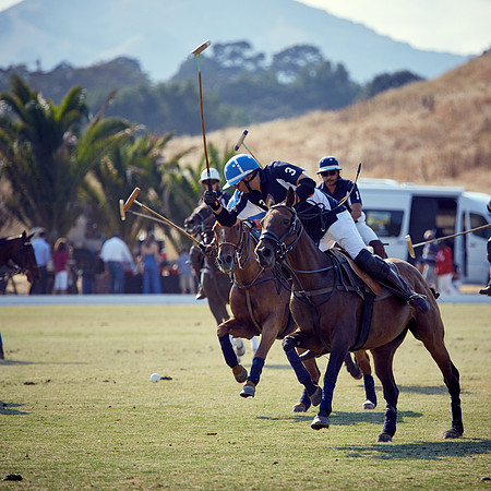 Oyster Cup Polo tournament