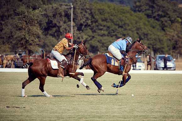 Oyster Cup Polo tournament