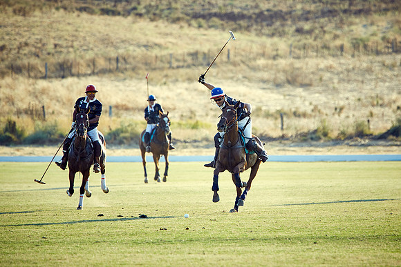 Oyster Cup Polo tournament