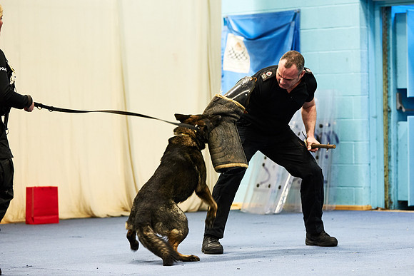 20151204-Dominic-James-AQ1Y5341.CR2