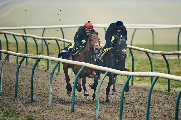 NEWMARKET-GALLOPS-24nd-APRIL-DJ-0356