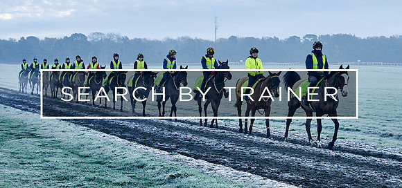 Search by Trainer Header