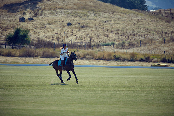 Oyster Cup Polo tournament