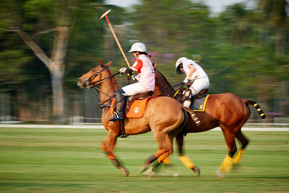 THAI-PINK-POLO-2019_DJ_3429