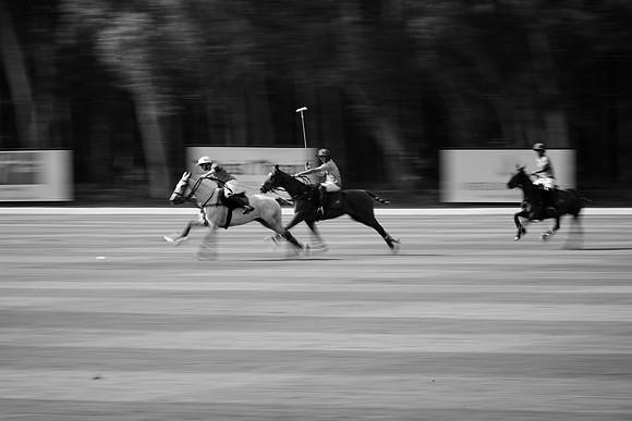 THAI-POLO-OPEN-2019_DJ_9731