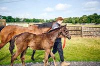 2025-06-09-Dominic-James-02096