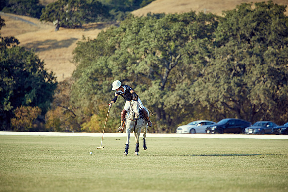Oyster Cup Polo tournament